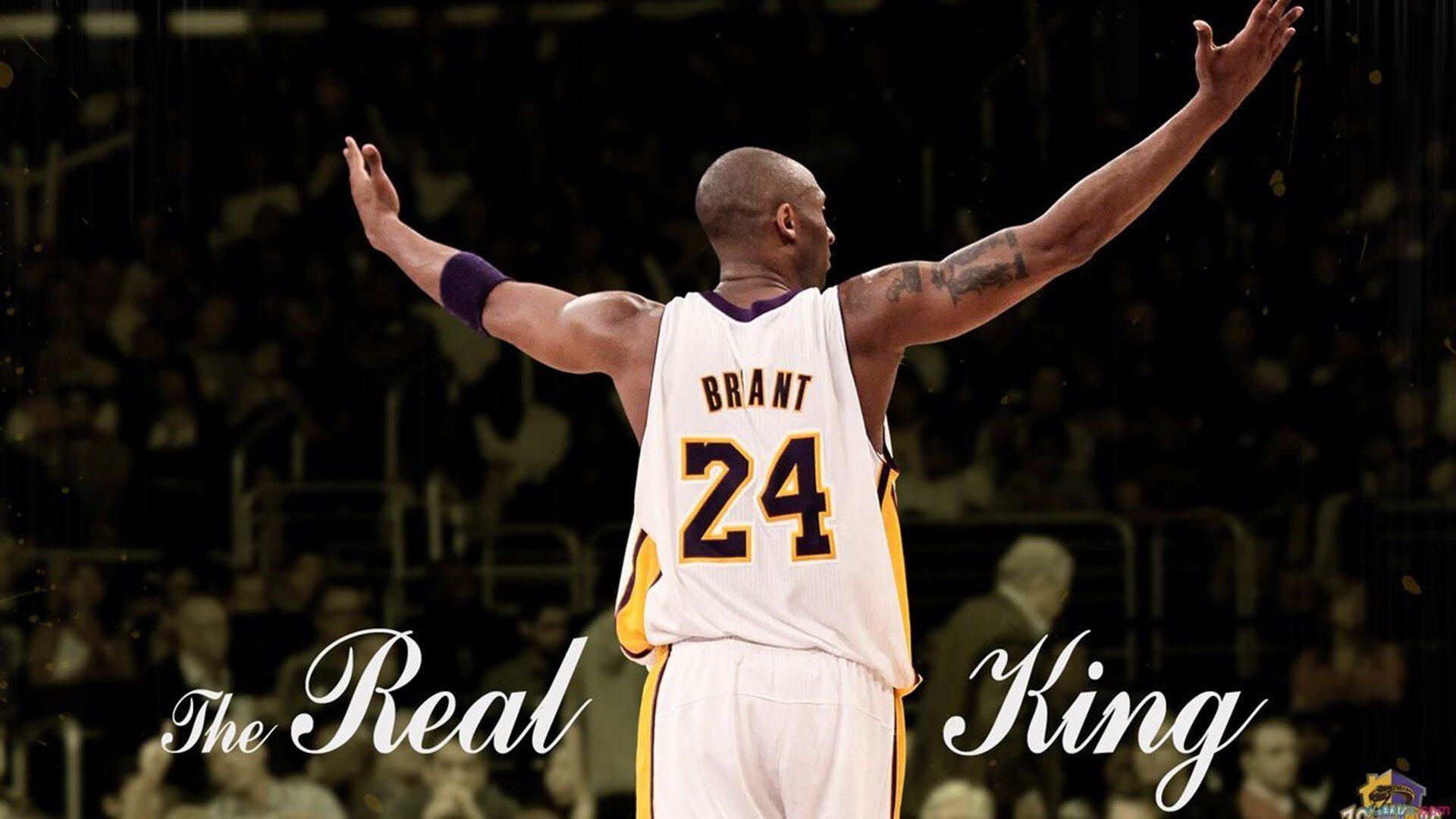 狂热与传承，全球球迷文化如何塑造现代体育精神