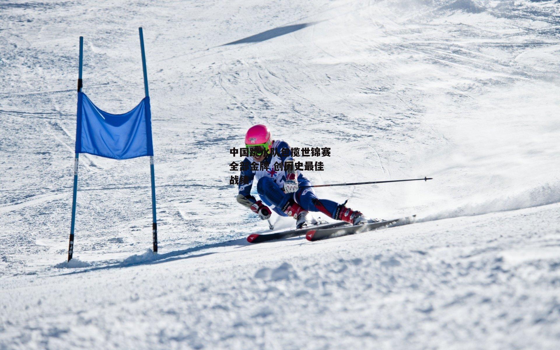 中国跳水队包揽世锦赛全部金牌 创历史最佳战绩