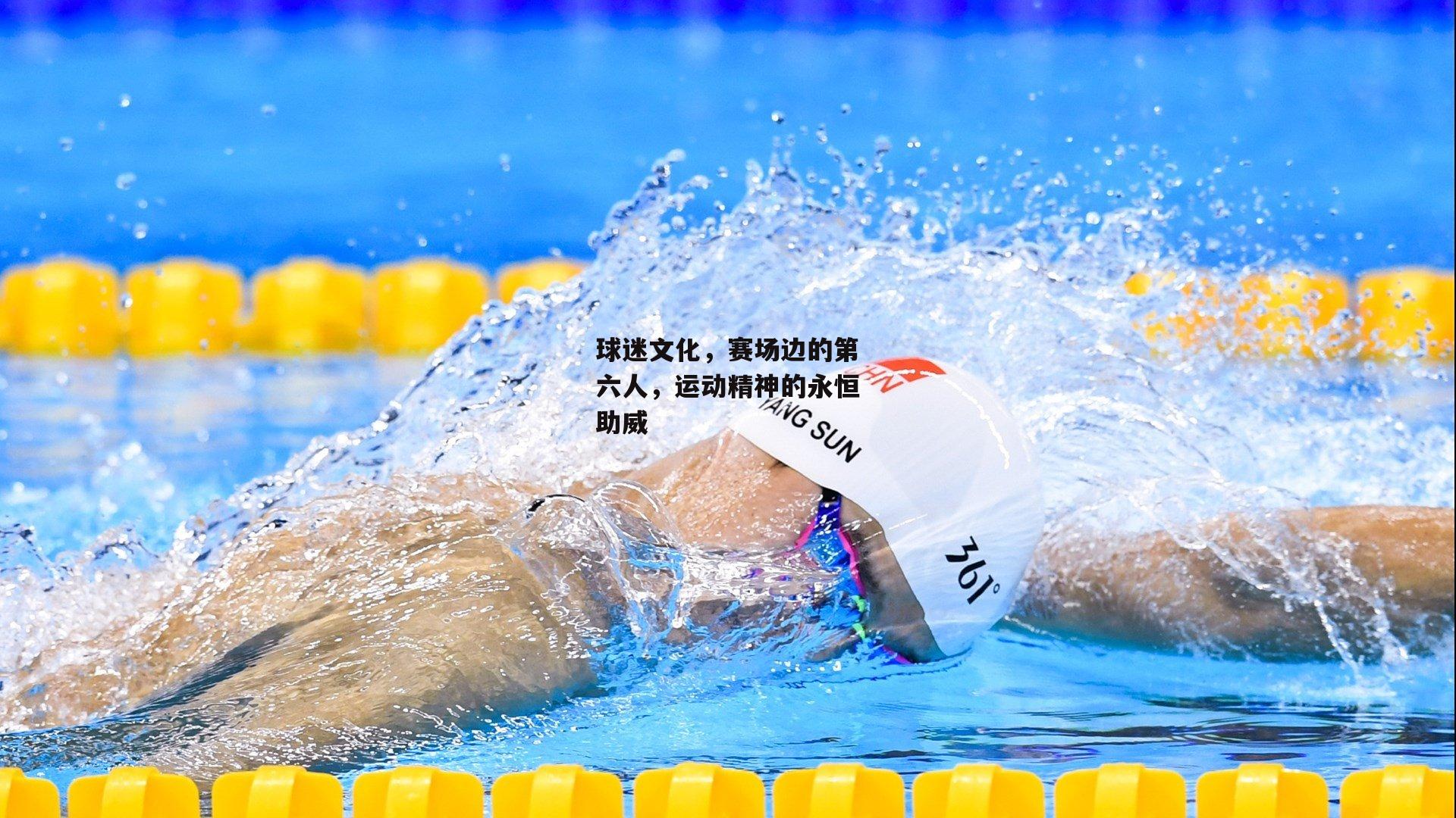 球迷文化,赛场边的第六人,运动精神的永恒助威